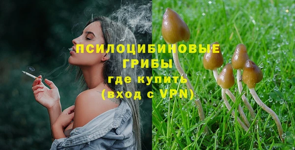mix Алексин