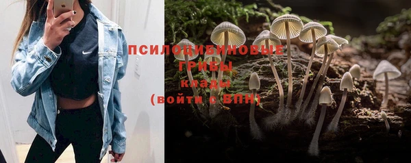 mix Алексин
