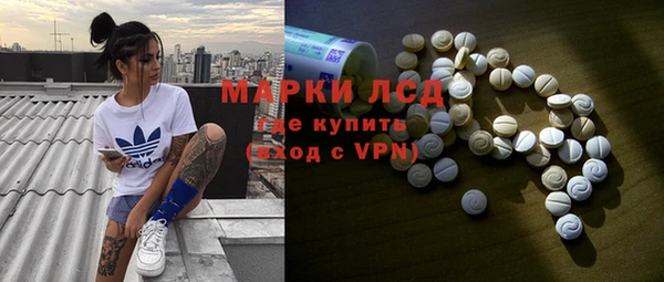ECSTASY Алзамай