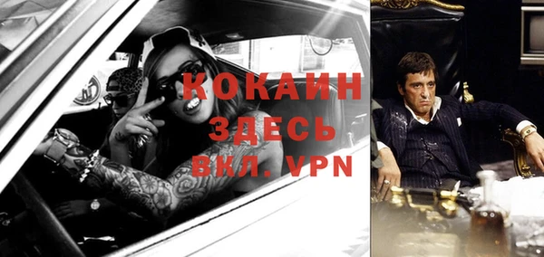ECSTASY Алзамай