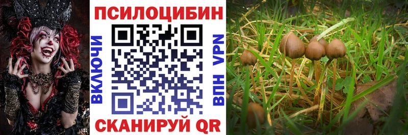 купить  сайты  Сортавала  omg зеркало  Псилоцибиновые грибы Psilocybine cubensis 
